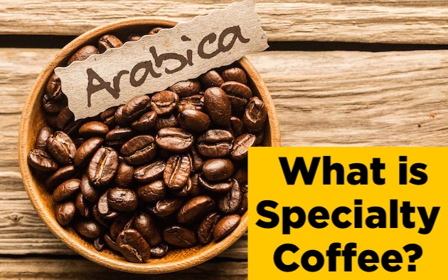 What is Specialty Coffee? Its Arabica origin and its geography - soji coffee roasters - Artisan Roastery