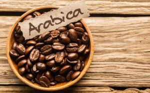 Specialty Coffee, its Arabica origin and geography? Artisan Coffee Roastery