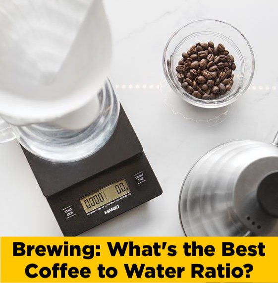 Brewing: What's the Best Coffee to Water Ratio? Soji Coffee Roasters