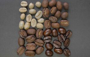 natural process specialty beans