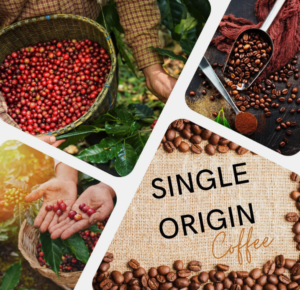 What is Single Origin?