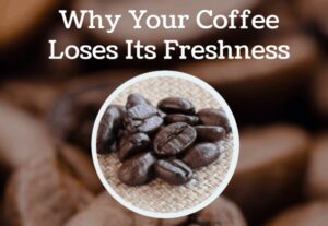 Can Coffee Stay Fresh? - Soji Coffee Roasters