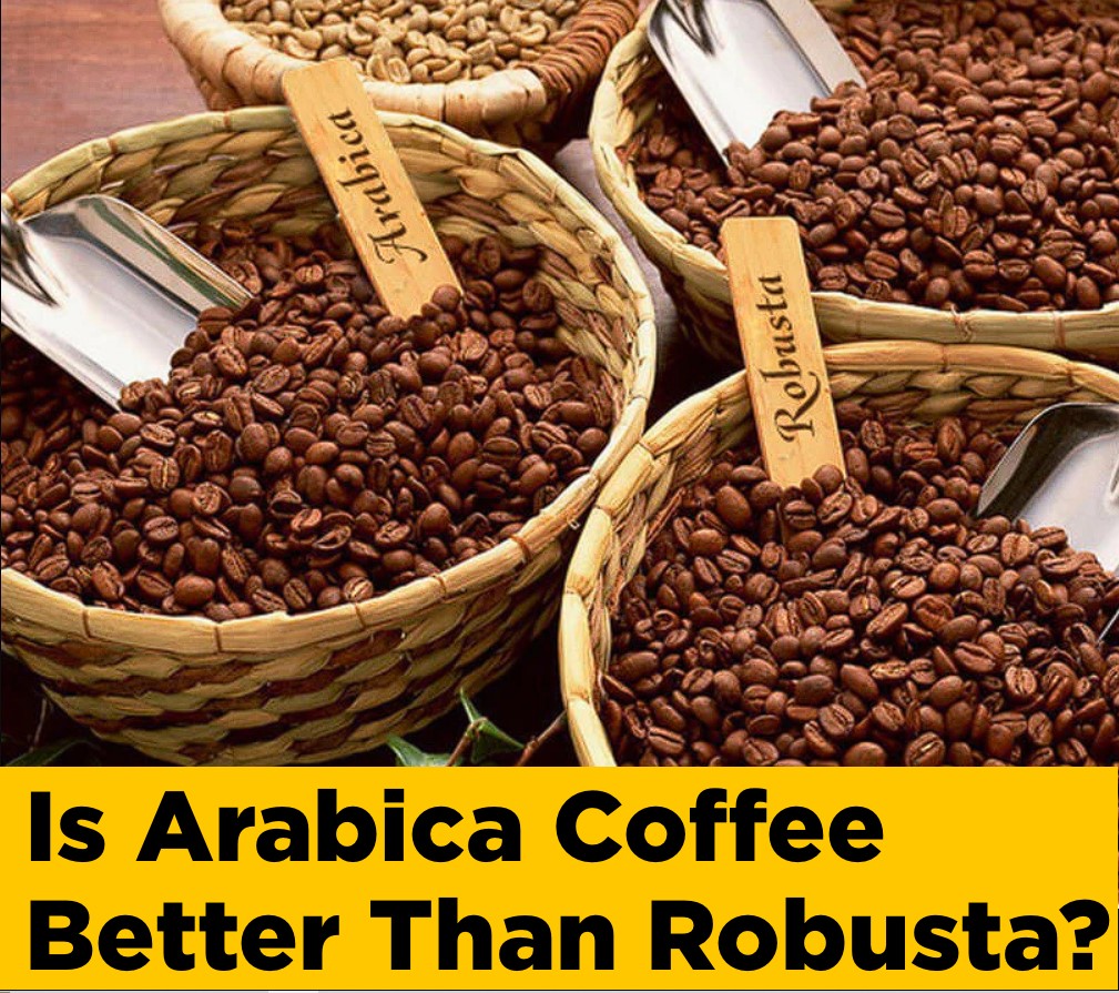 Is Arabica Coffee Better Than Robusta? - Soji Coffee Roasters