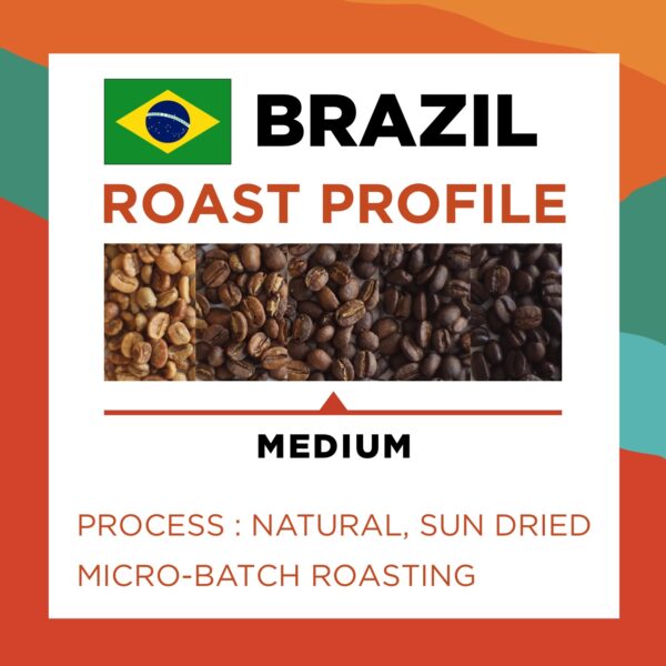BRAZIL SUL DE MINAS (Espresso) Med Roast Specialty Grade - Image 3