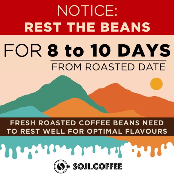 ETHIOPIA WUBANCHI G1 [SUPERNATURAL] (Fruity) Med Roast Specialty Grade - Image 5