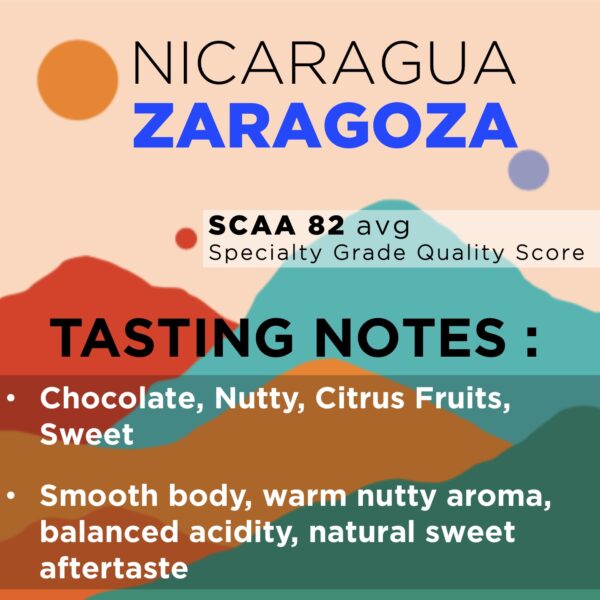 NICARAGUA ZARAGOZA (Balanced) Med Roast Specialty Grade - Image 2
