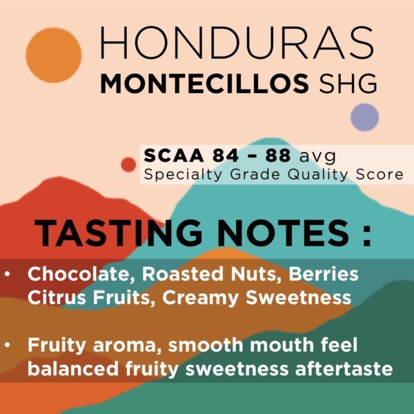 HONDURAS MONTECILLOS SHG (Seasonal) Med Roast Specialty Grade - Image 2