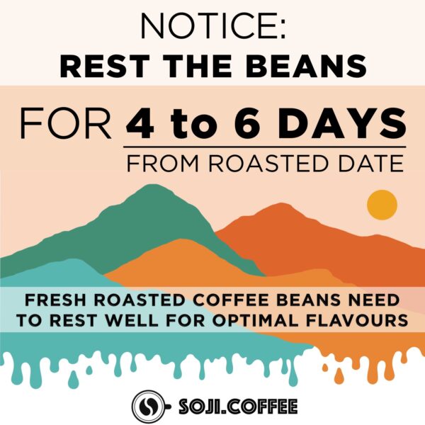HONDURAS MONTECILLOS SHG (Seasonal) Med Roast Specialty Grade - Image 5