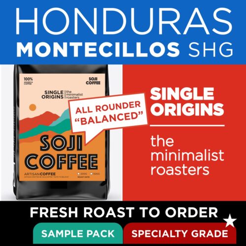 [Sample 4] HONDURAS MONTECILLOS SHG (Balanced)